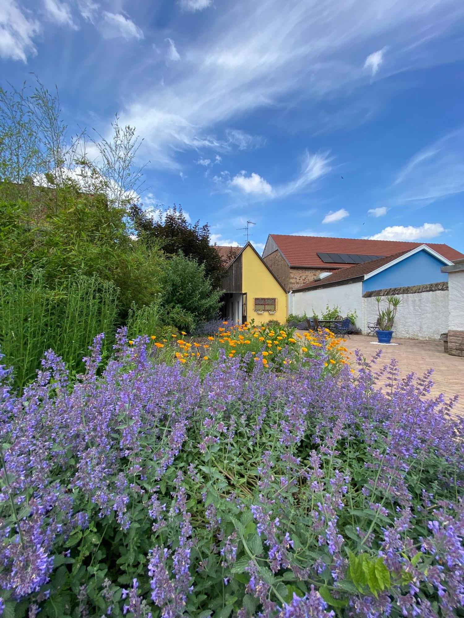 Bed and Breakfast Relais Du Dompeter Molsheim Exterior foto